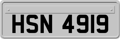 HSN4919