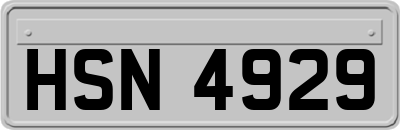 HSN4929