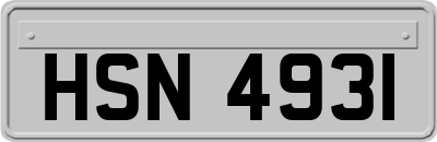 HSN4931