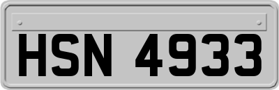 HSN4933