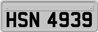 HSN4939