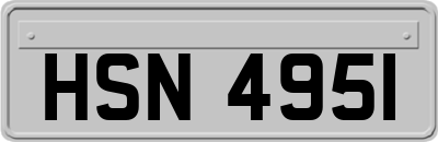 HSN4951