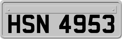 HSN4953