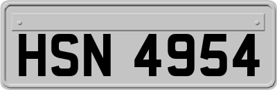 HSN4954