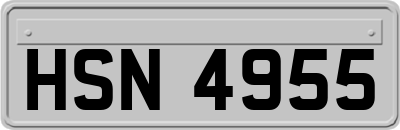 HSN4955
