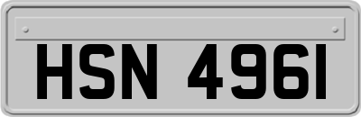 HSN4961