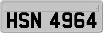 HSN4964