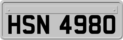 HSN4980