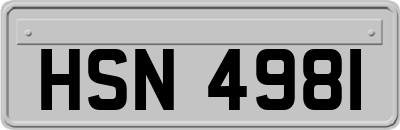 HSN4981