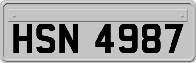 HSN4987
