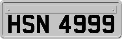 HSN4999