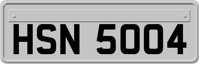 HSN5004