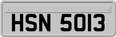 HSN5013
