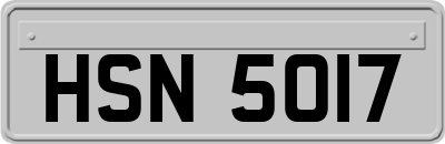 HSN5017