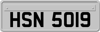 HSN5019