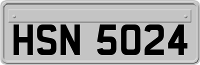 HSN5024