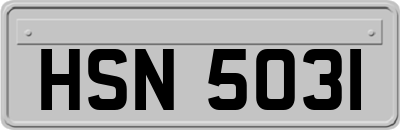 HSN5031