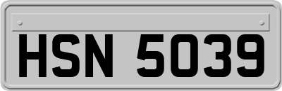 HSN5039