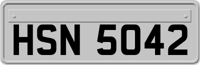 HSN5042