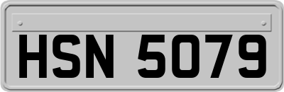 HSN5079