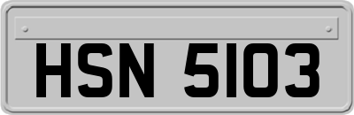 HSN5103