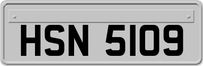 HSN5109