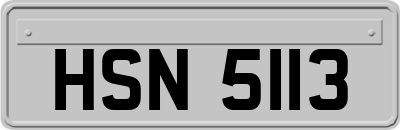 HSN5113