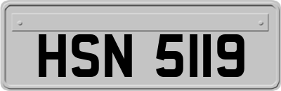 HSN5119
