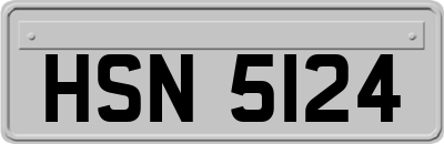 HSN5124