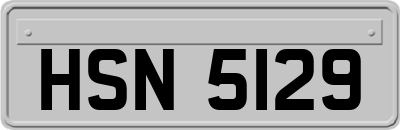 HSN5129