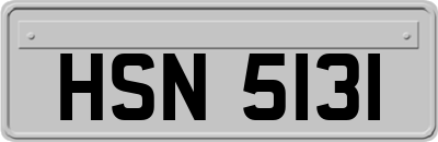 HSN5131