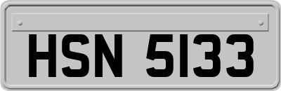 HSN5133