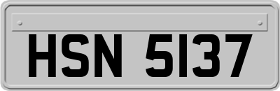 HSN5137