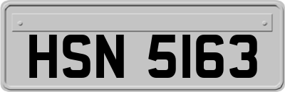HSN5163