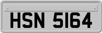 HSN5164