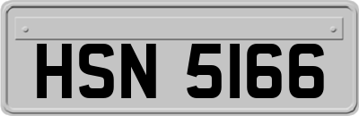 HSN5166