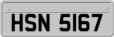 HSN5167