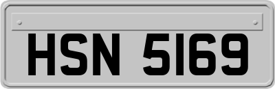 HSN5169