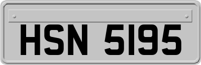 HSN5195