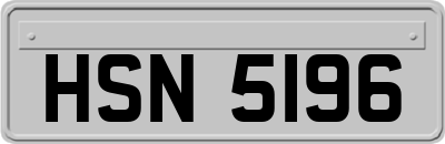 HSN5196
