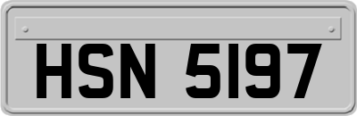 HSN5197