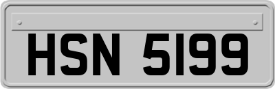 HSN5199