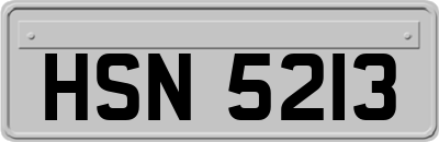 HSN5213