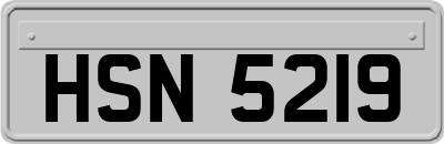 HSN5219