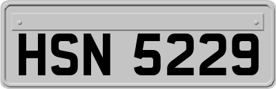 HSN5229