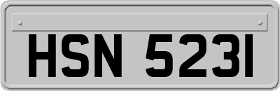 HSN5231