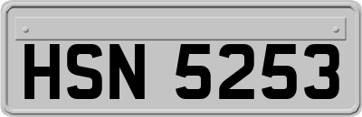 HSN5253
