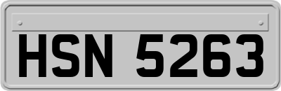 HSN5263