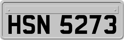 HSN5273