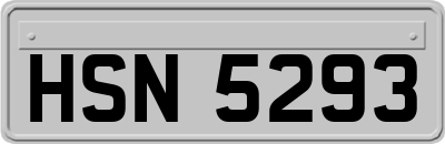 HSN5293